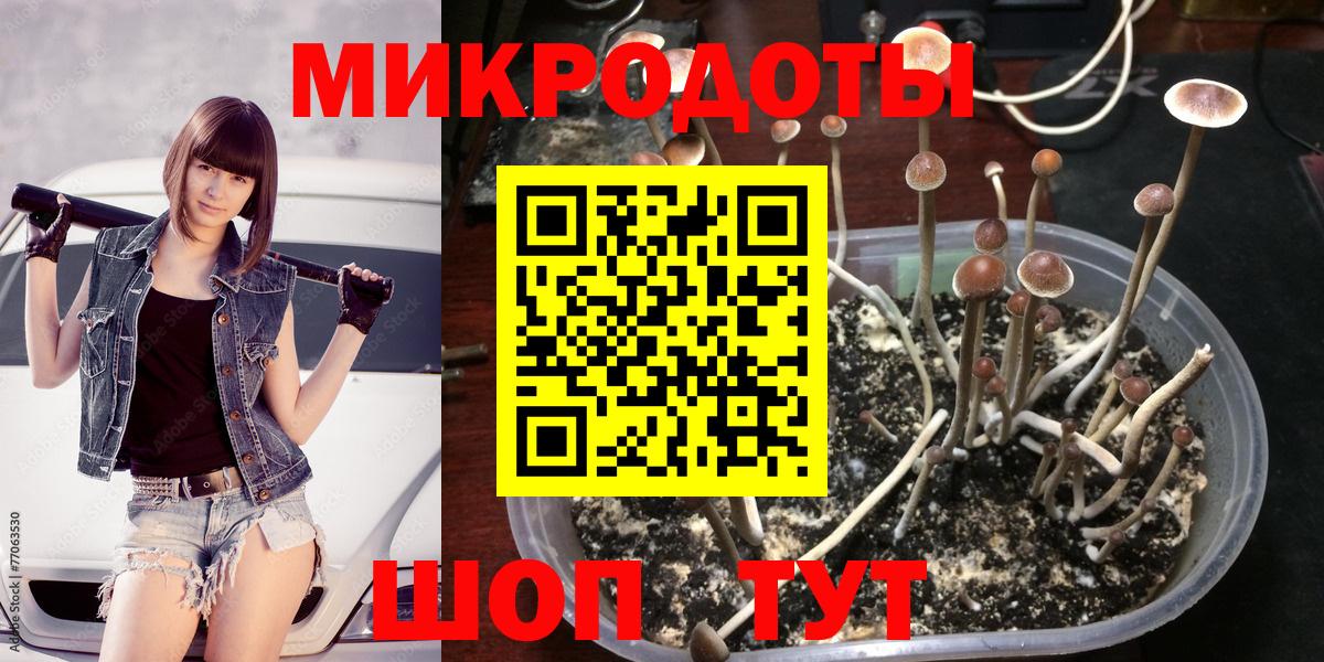 Тулун  Псилоцибиновые грибы Magic Shrooms  Вход с VPN 